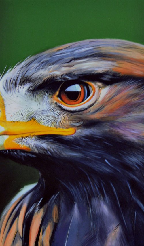 Falcon, Oil on canvas by Valeri Tsvetkov