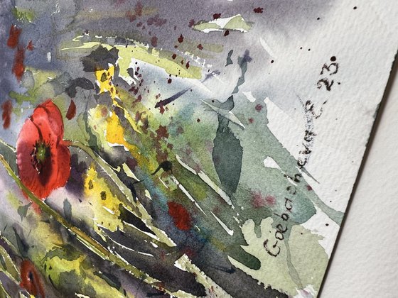 Poppies #3