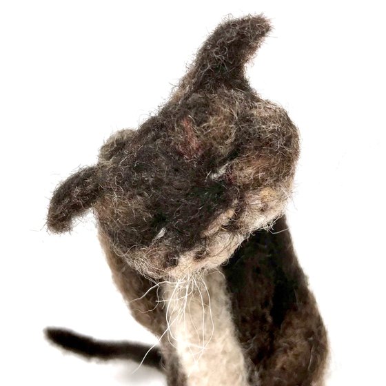 Stray cat, felted wool cat