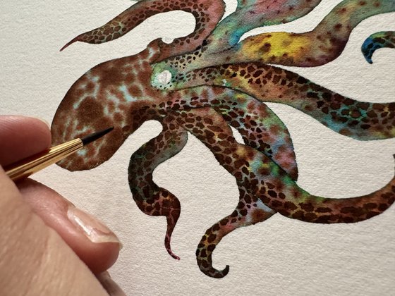 Original Watercolour Octopus