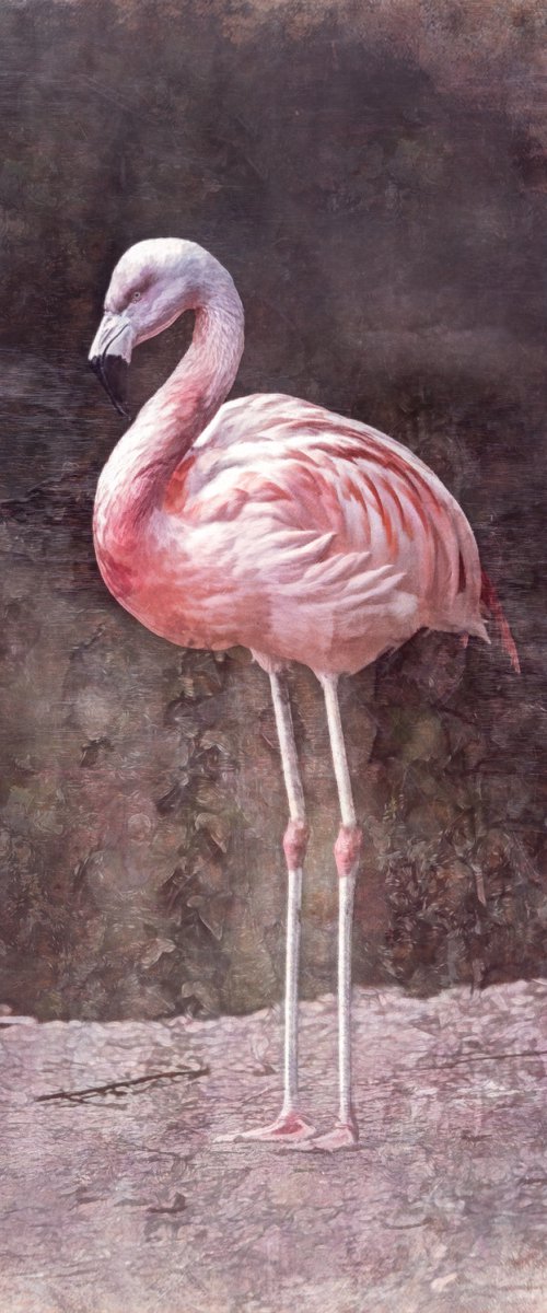 Flamingo multi textured by Paul Nash
