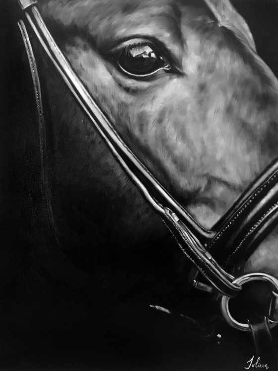 Oil painting with horse 'Night' 60*80 cm