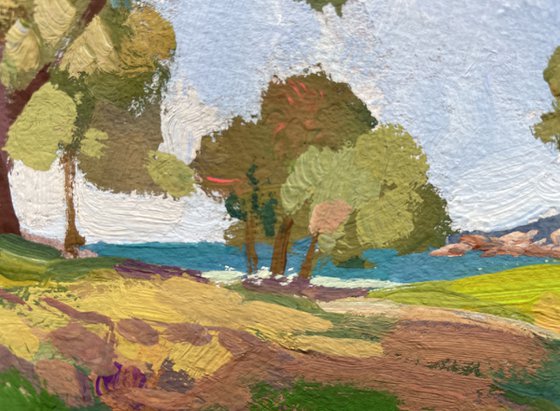 Trees of Santa Ponsa