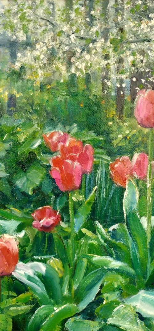 Tulips near the fence by Valentina Andrukhova