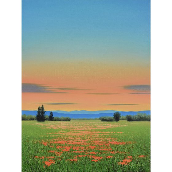 Evening Blush - Colorful Flower Field Landscape