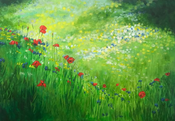 Poppy Meadow