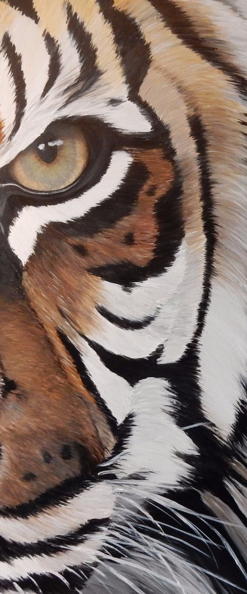 tiger by bente jepsen