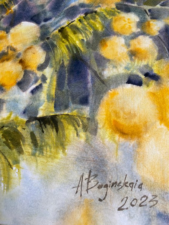 mimosa 3 - original watercolor