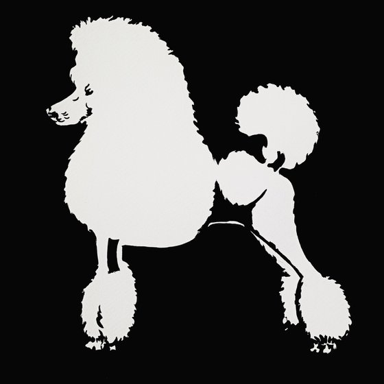 Standard Poodle I