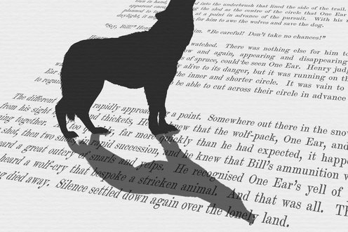 Cover image for Gifts for bookworms collection