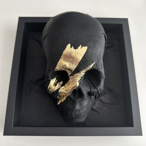 Skull Of Ziggy Stardust