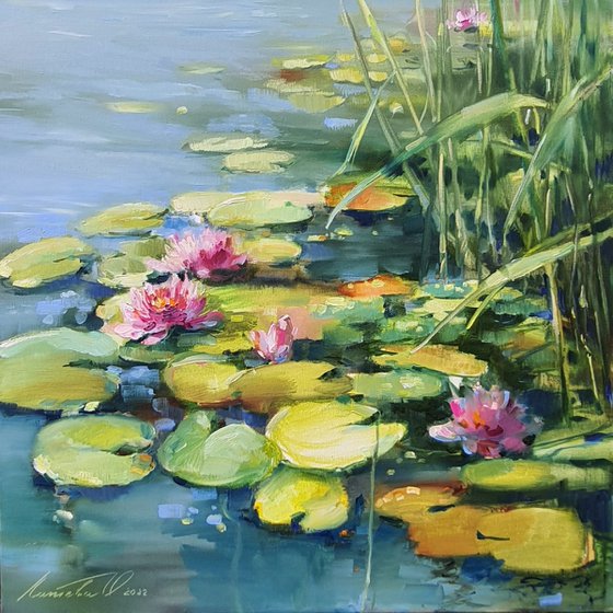 pink water lilies