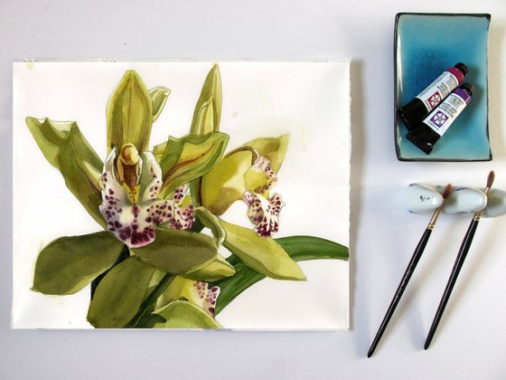 green cymbidium orchid watercolor