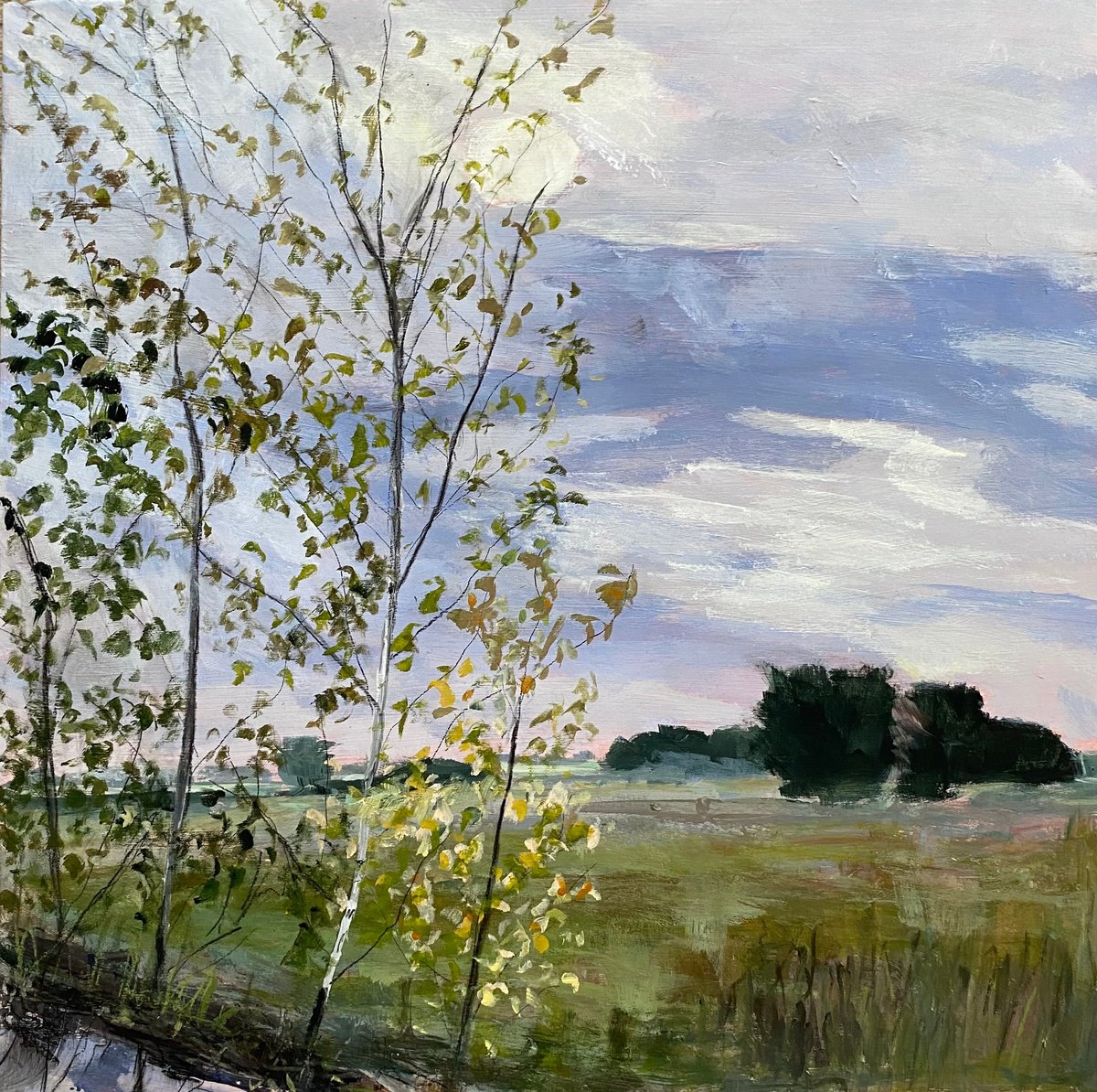 Impressionistic Landscape Acrylic Painting By Nikki Wheeler, 20 X 20", Sinking October Sun, Original Artwork