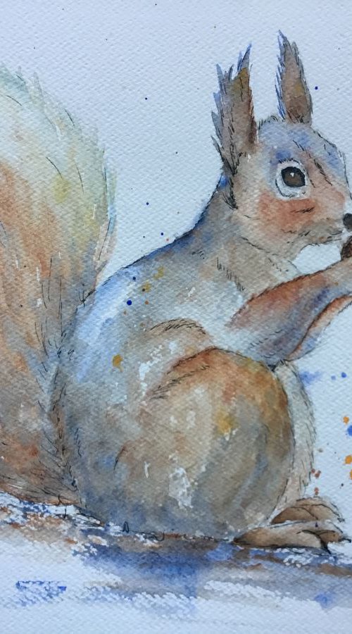 Squirrel by Sabrina’s Art