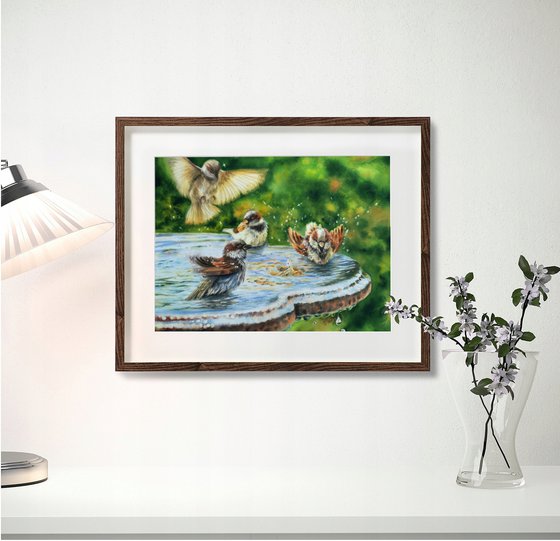 Sparrows bathing in street fountain  - Bathing sparrows - sparrow  bird  watercolor sparrows