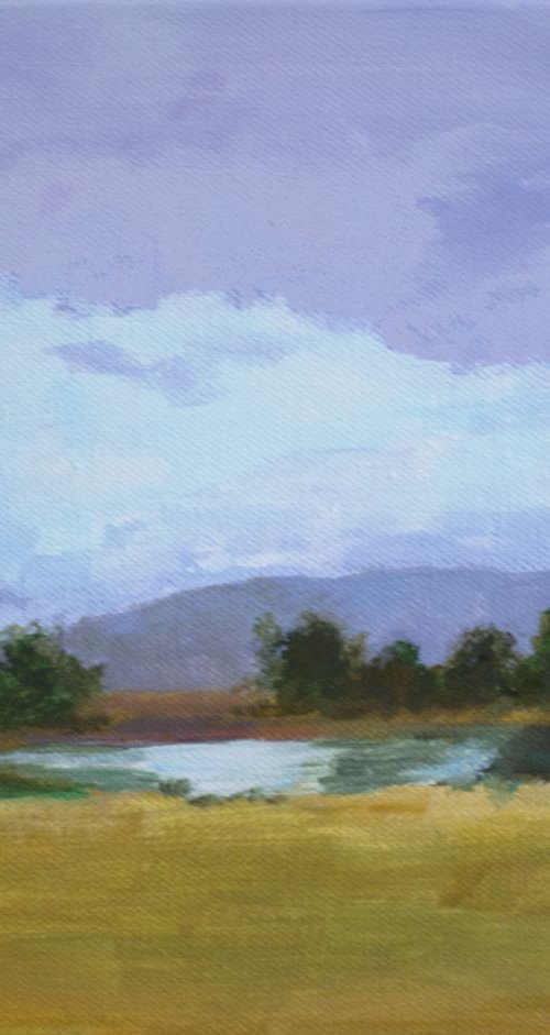 The Big Thaw by Mary Chant