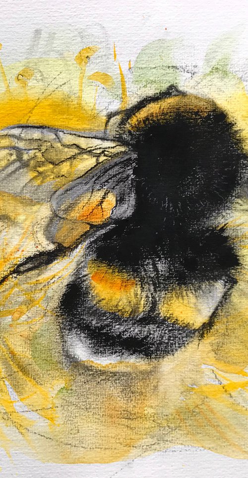 Bumblebee  #07 by Luci Power