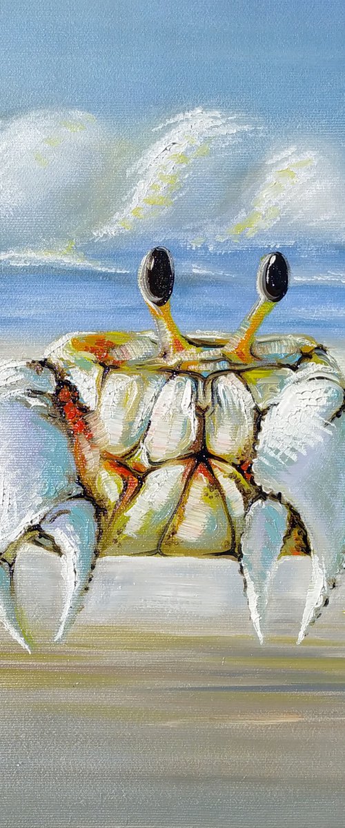 Sun crab by Anna Shabalova