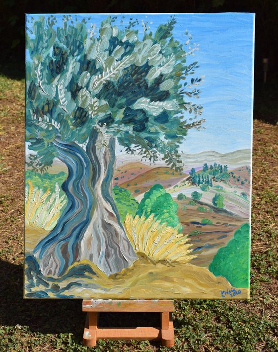 Olive tree in Alhaurin