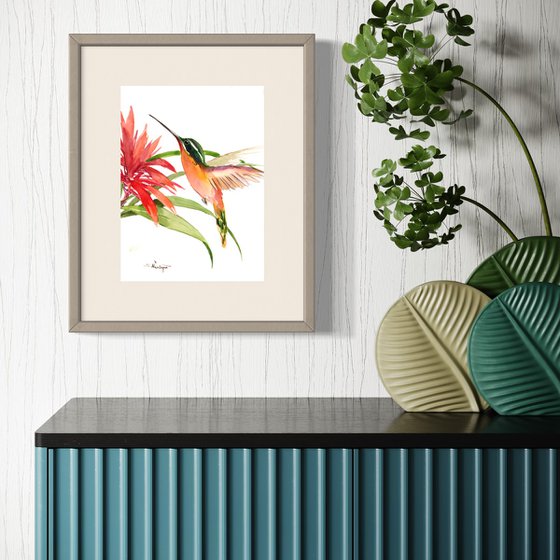 Hummingbird and Flower