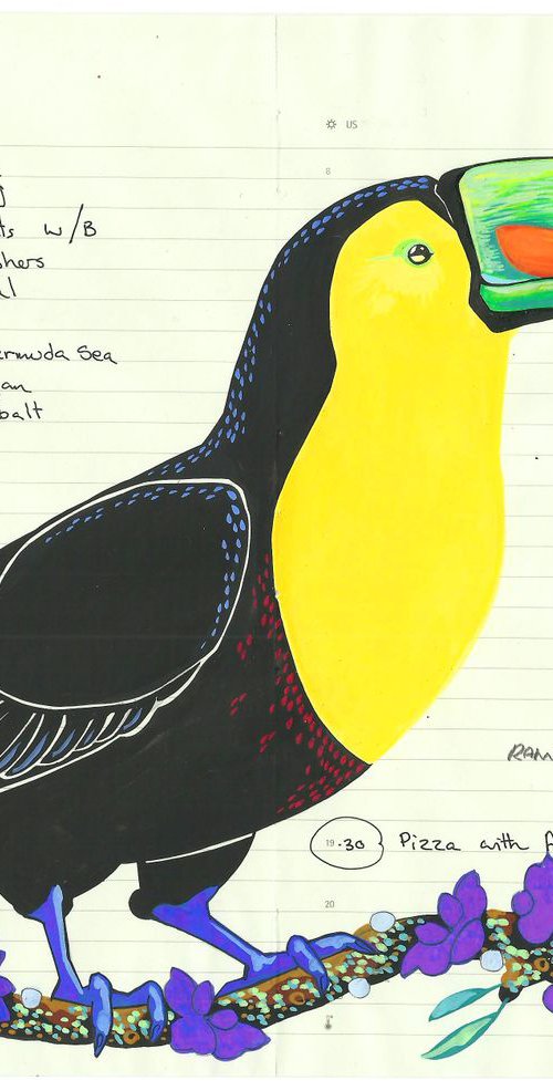 Birds of South America: Keel Billed Toucan by Fran Giffard