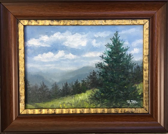 MOUNTAIN PINE - oil 5X7 (SOLD)