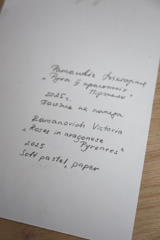 Roses in aragonese Pyrenees