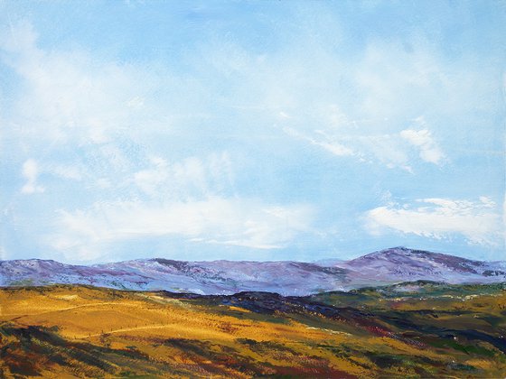 LANDSCAPE-55