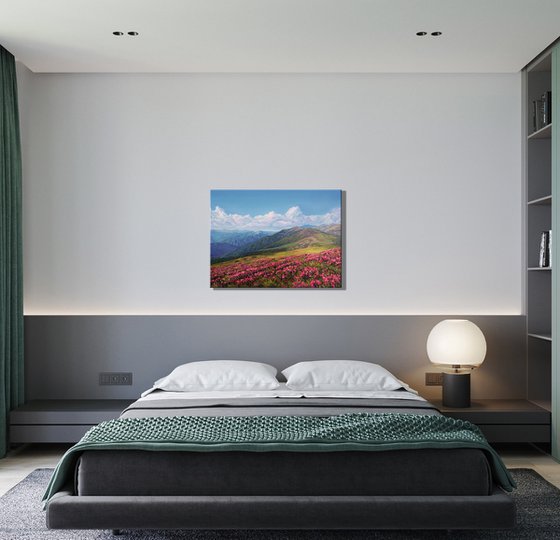 Spring in the mountains