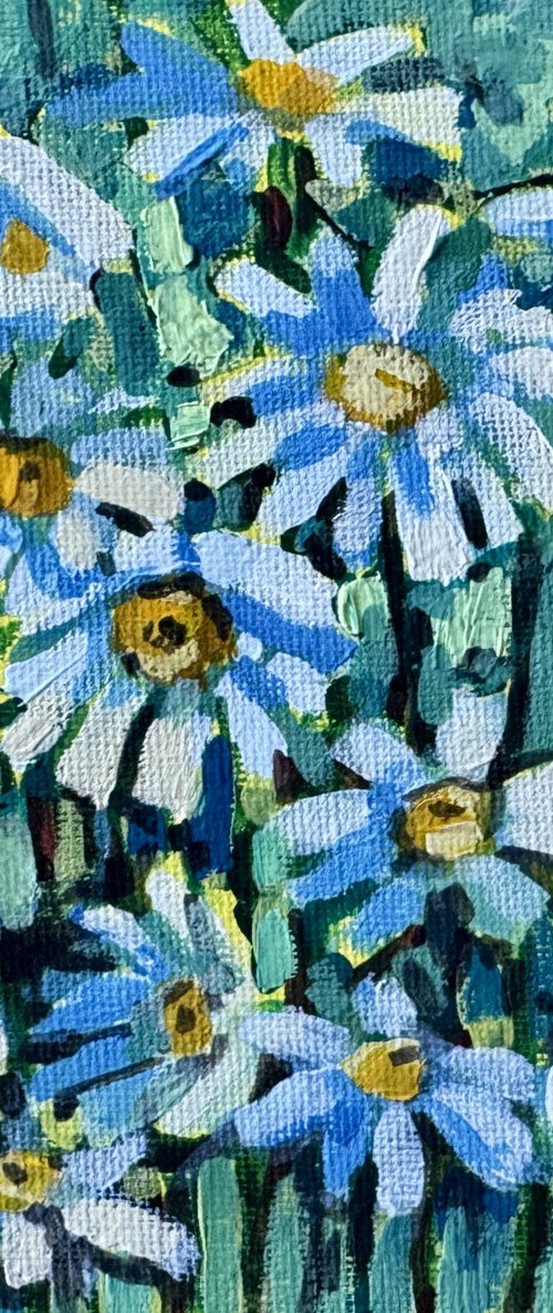 Daisies by Ekaterina Dutkevich