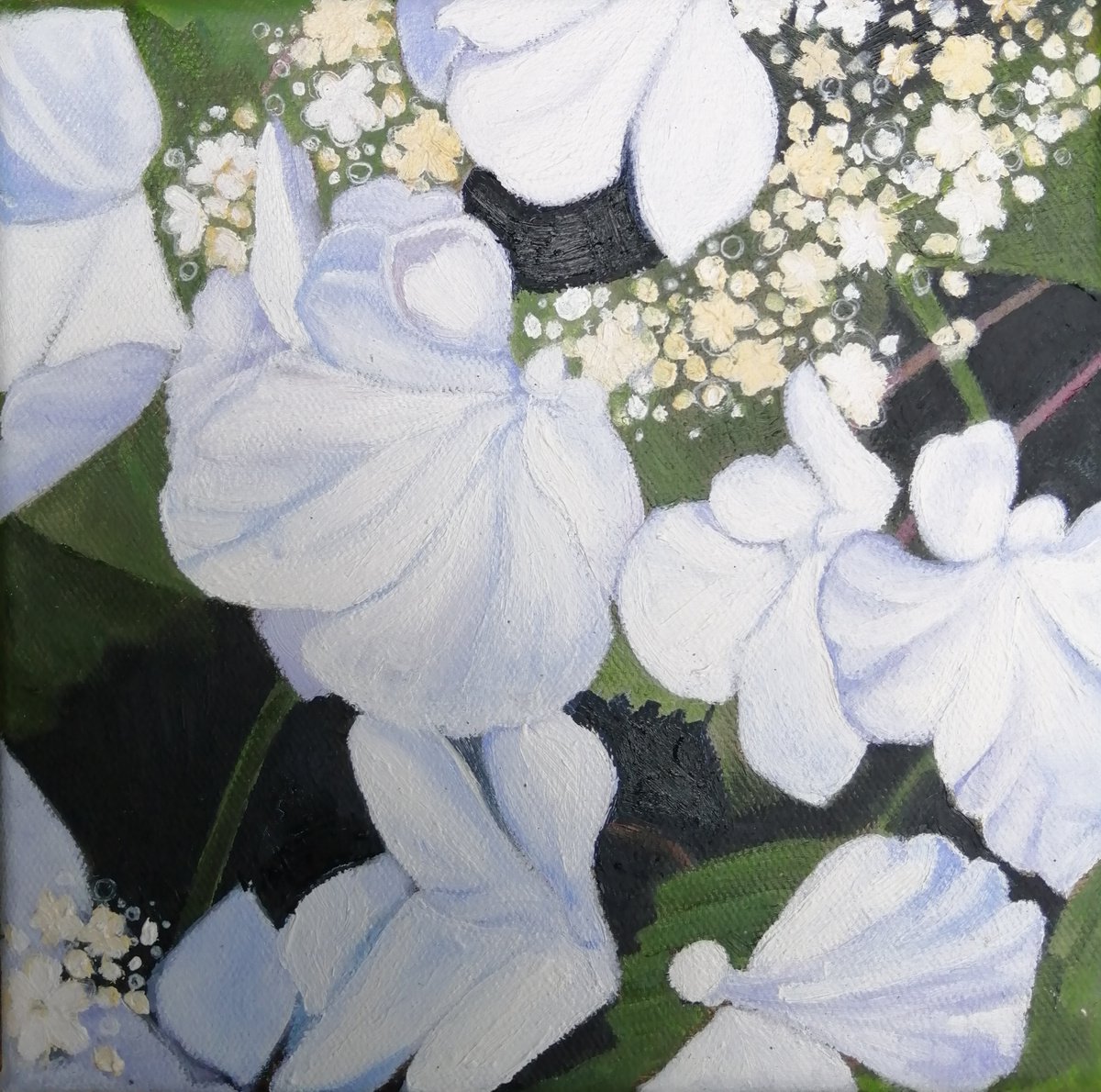 Spring Bloom 1 by Lisa Punter