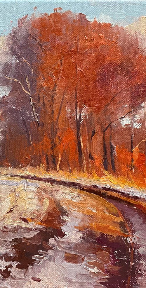 Winter Evening Sunlight by Ling Strube