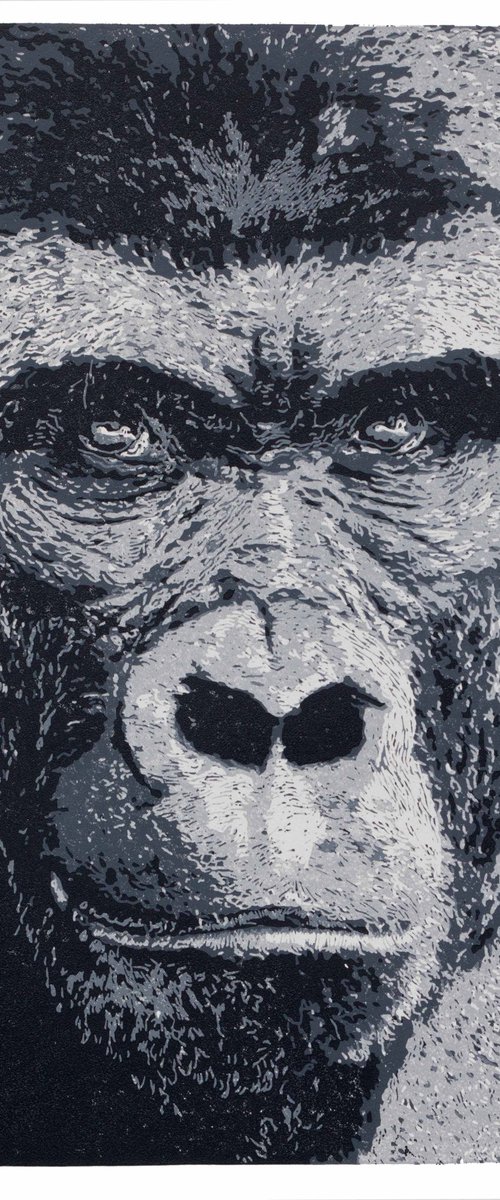 Gorilla by Wayne Longhurst