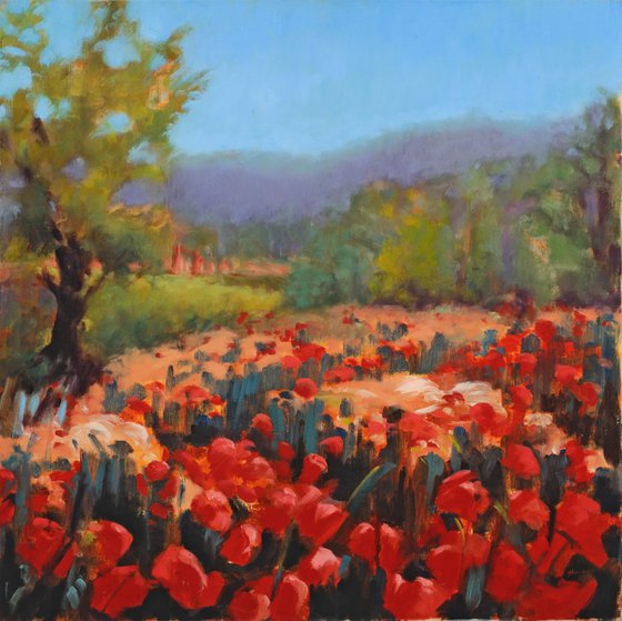 DANCE OF THE POPPIES