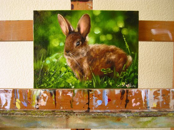 Rabbit Paintings Bunny