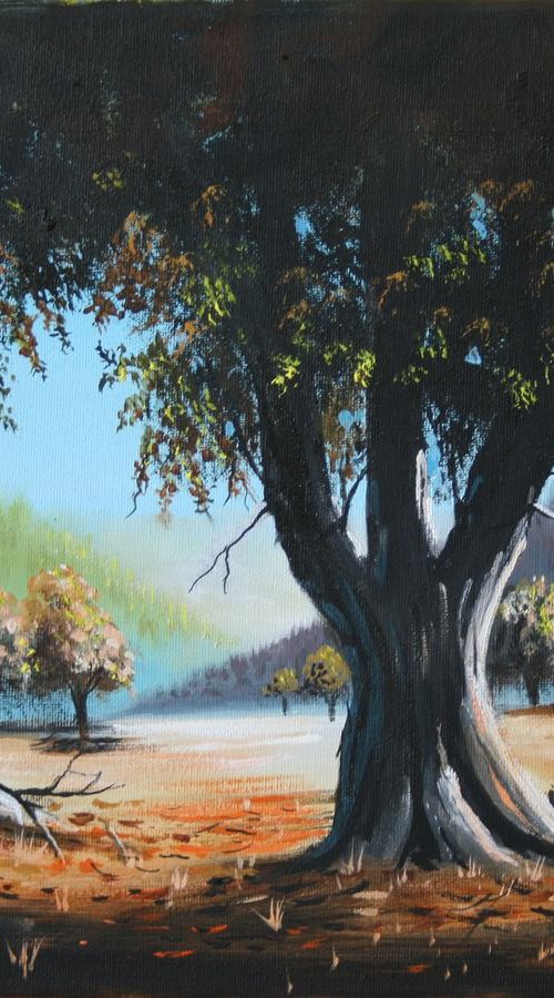California Oaks by John Begley