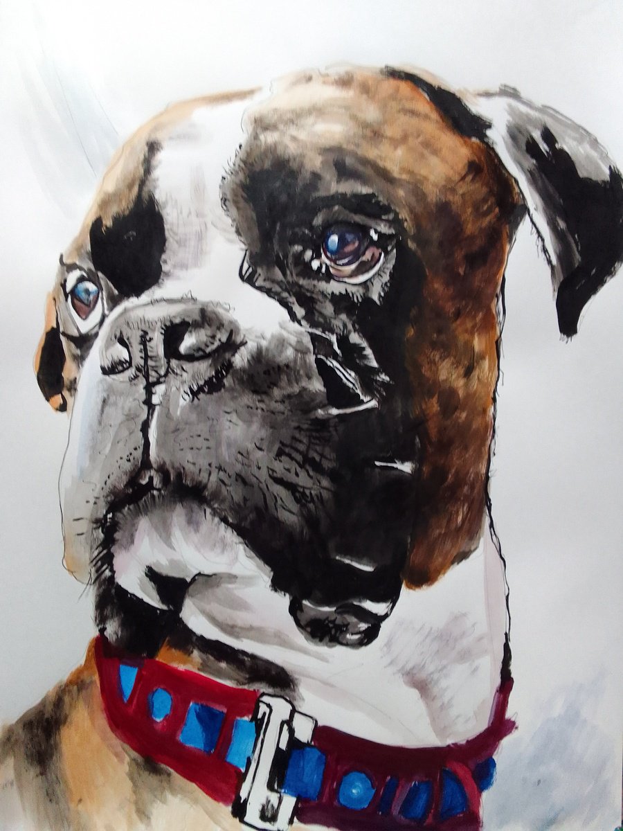 Photorealistic Animal Acrylic Painting By Soso Kumsiashvili, 24 X 33", Boxer Dog, Original Artwork