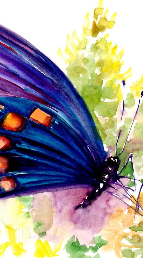 Butterfly by Suren Nersisyan
