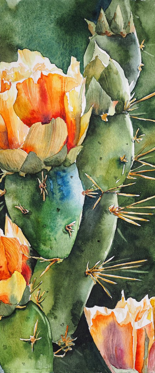 Sunny cactus flower by Delnara El