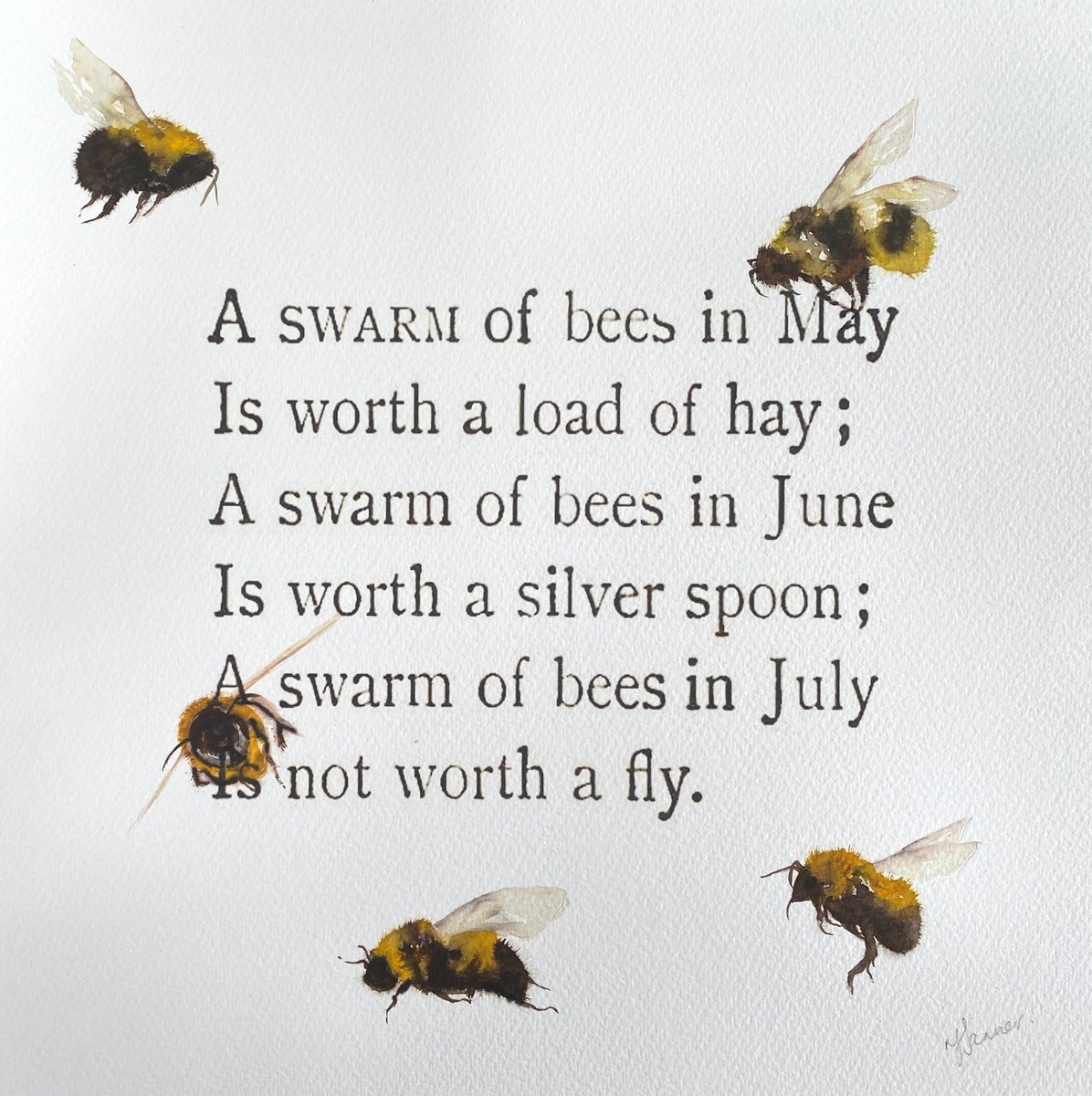 A swarm of Bees in May by Teresa Tanner