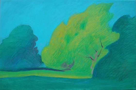 Summer Calm