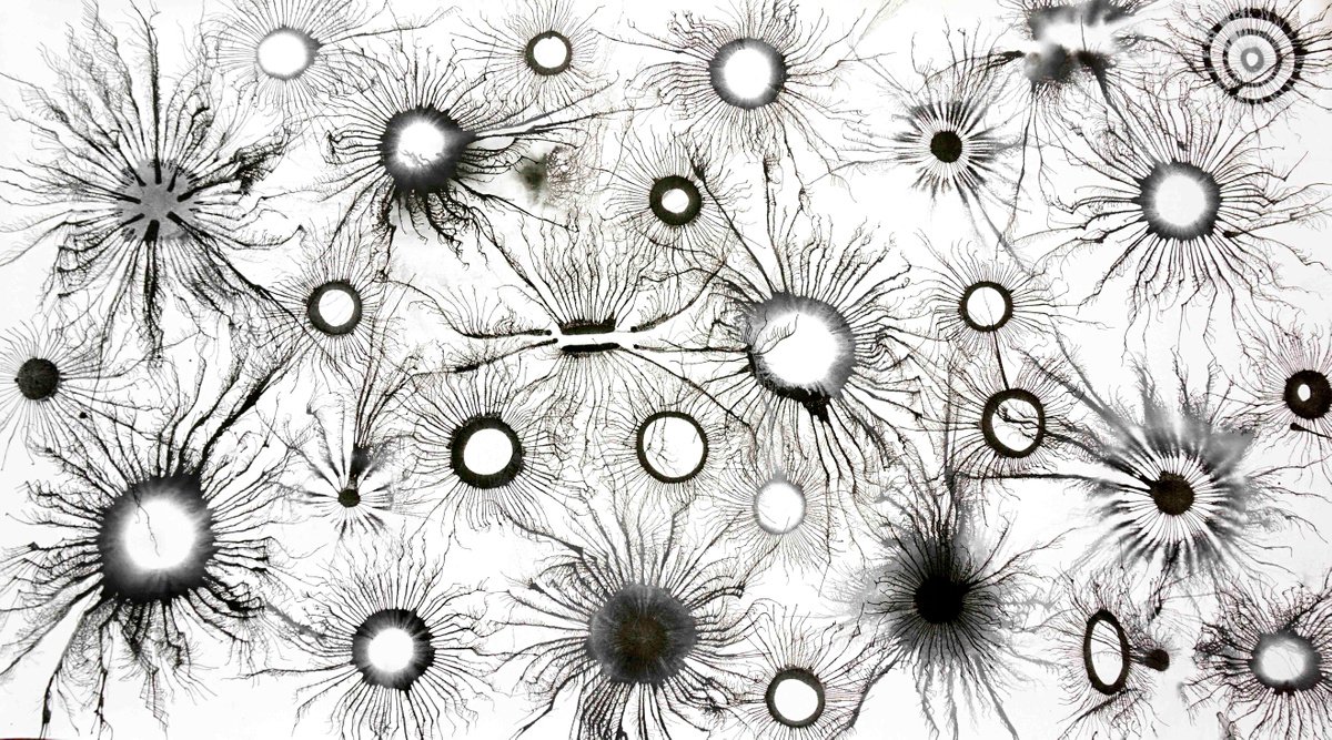 Abstract Acrylic Painting By Sumit Mehndiratta, 62 X 32", Exploflora Series Nº92, Original Artwork