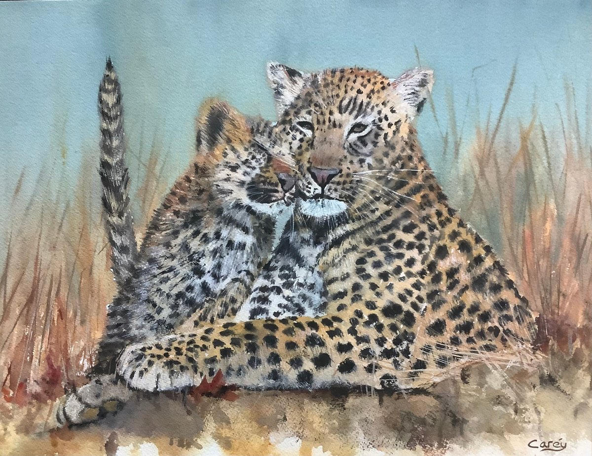 Leopard and cub by Darren Carey