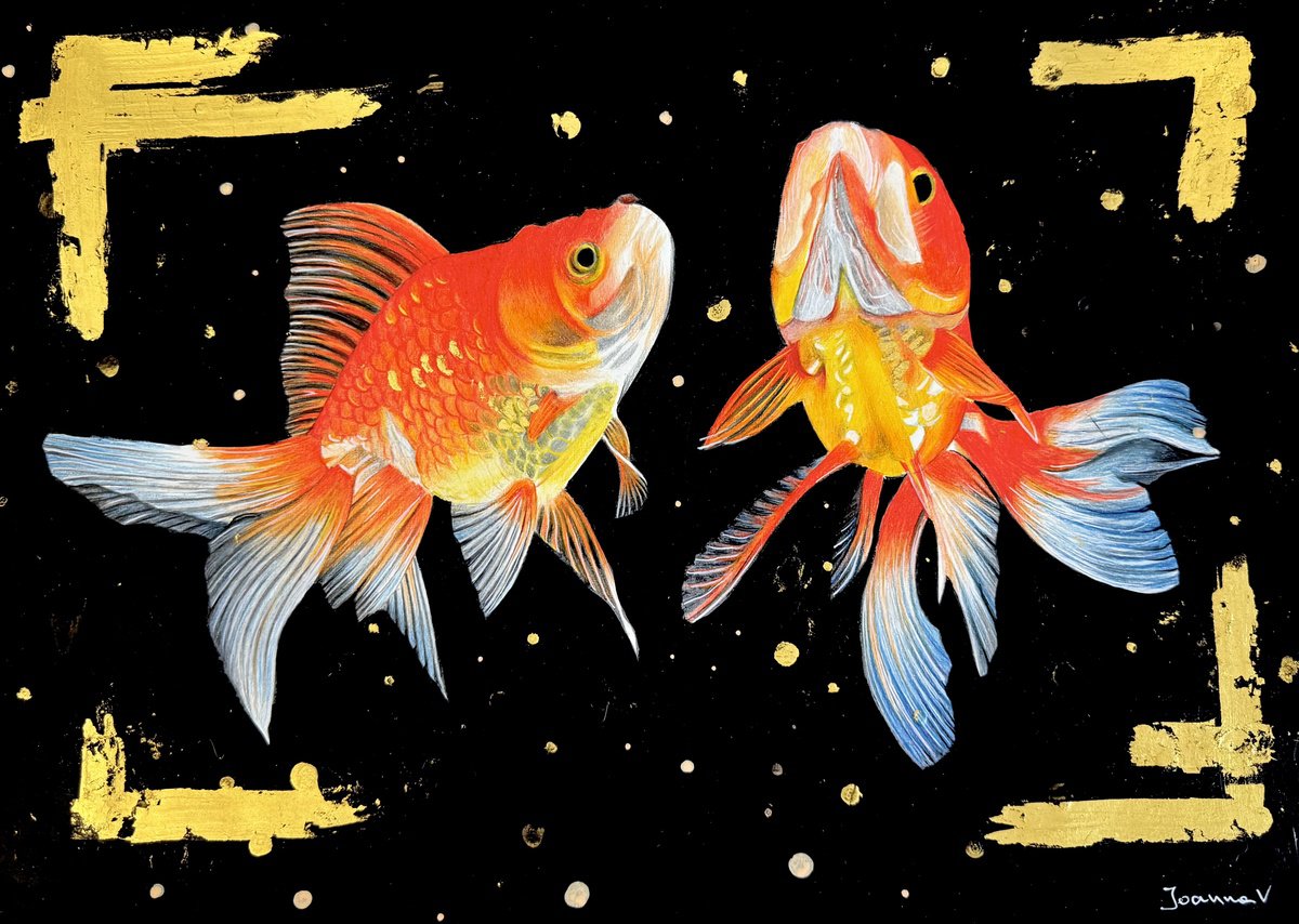 Photorealistic Animal Pencil Drawing By Ioanna Ladopoulou, 17 X 12, Goldfish, Original Artwork