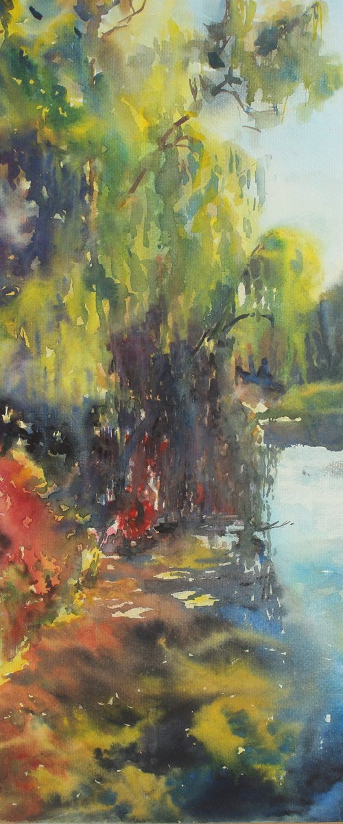Overgrown pond by Yurii Pashkov