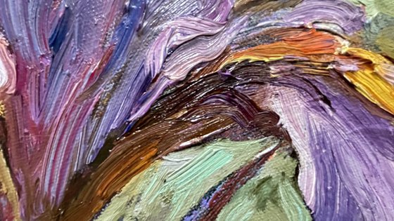 When the irises were big