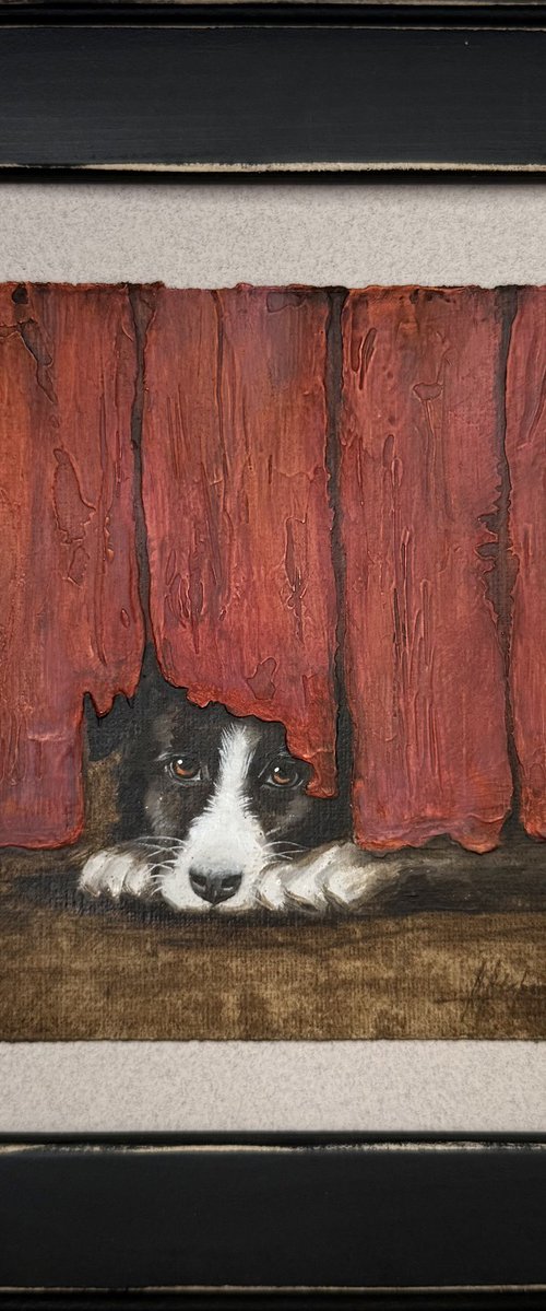 A dog and a red fence by Alina Marsovna
