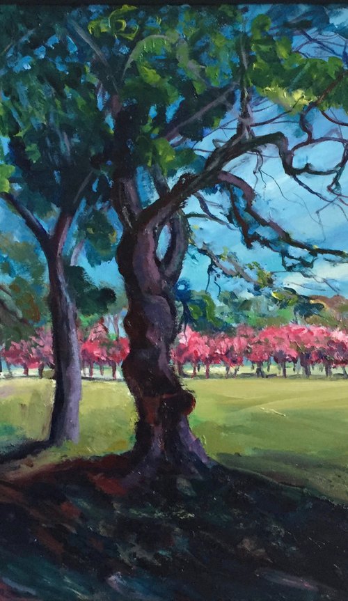 'The Meadows, Edinburgh, with Cherry Trees in blossom.' by Stephen Howard Harrison