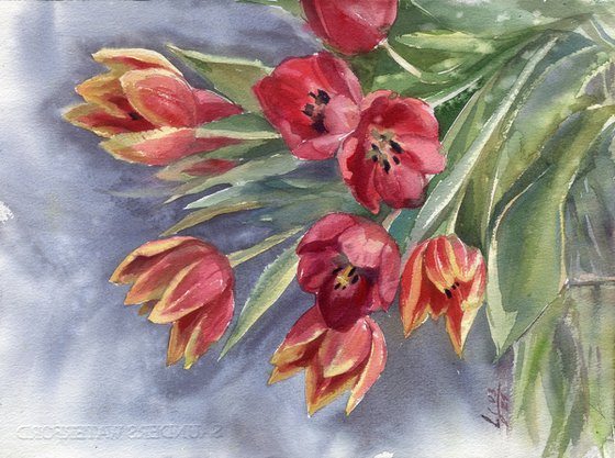 A bouquet of red tulips